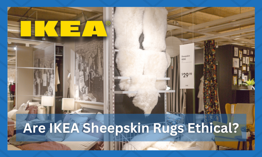 Are IKEA Sheepskin Rugs Ethical