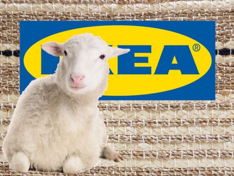 Are IKEA Sheepskin Rugs Ethical? IKEA Product Reviews