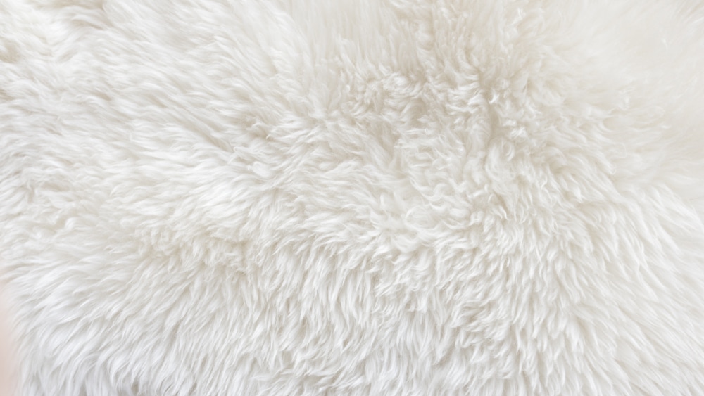 sheepskin