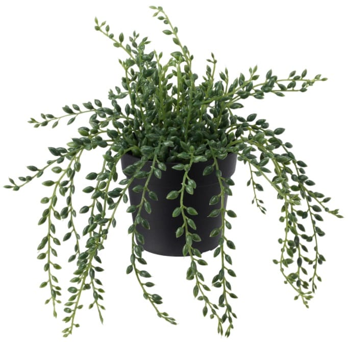 FEJKA Artificial Potted Plant, String of Beads FEJKA Artificial Potted Plant, String of Beads