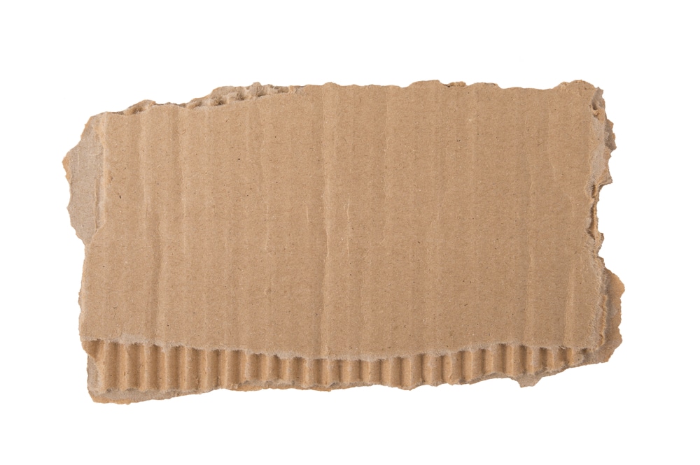 cardboard