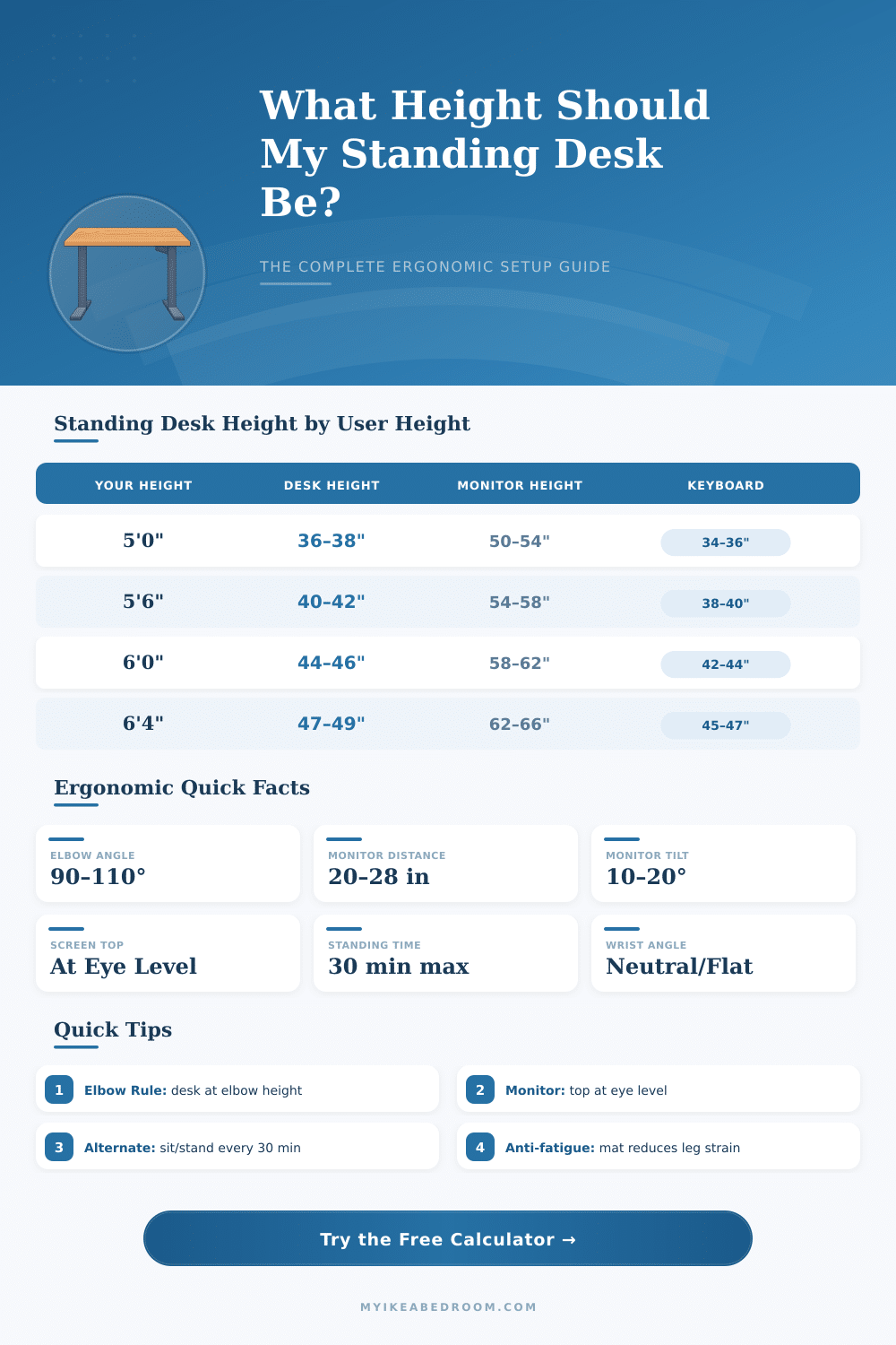 Ergonomic Standing Desk Height Calculator: Find Your Perfect Setup