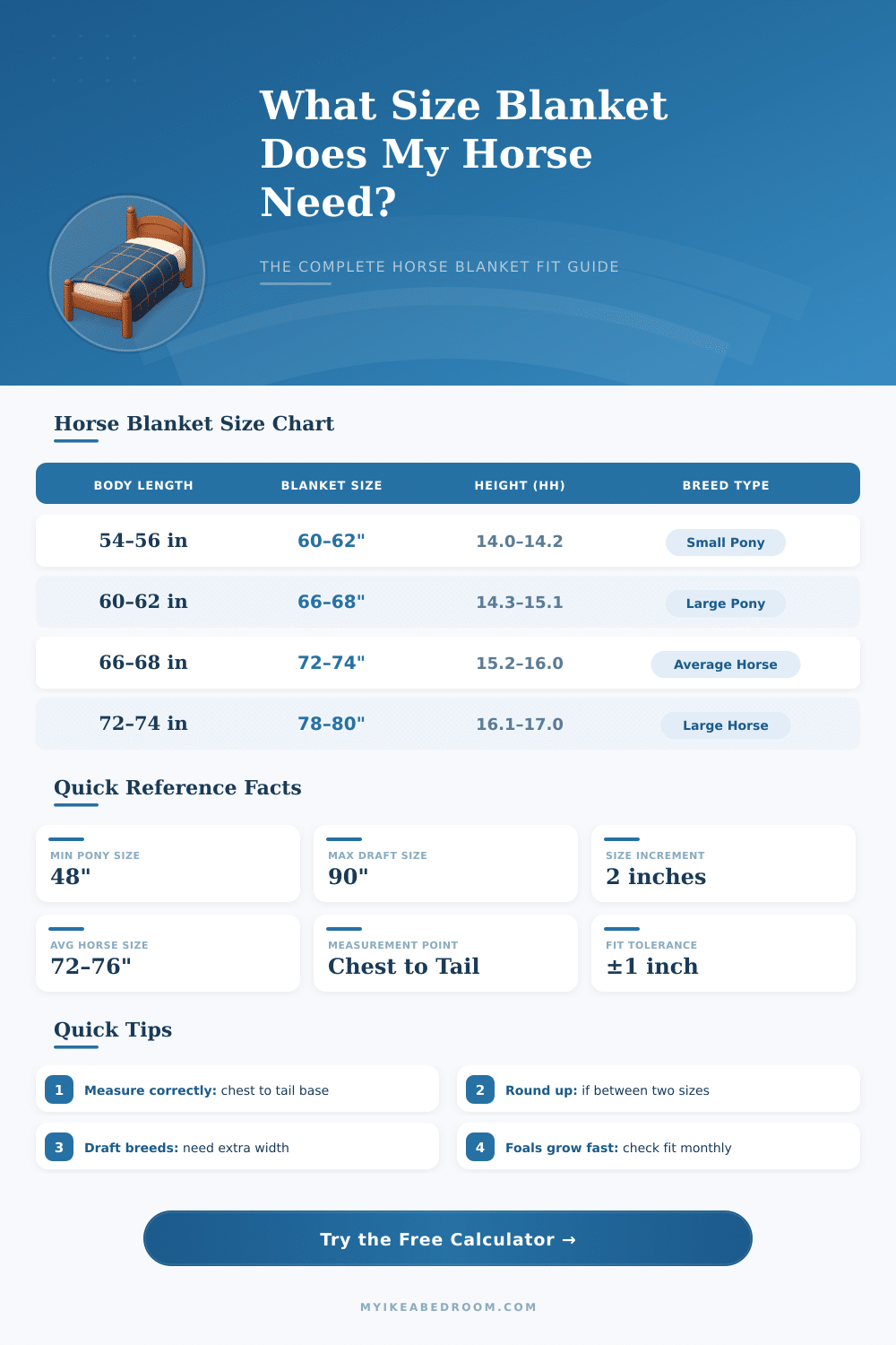 Horse Blanket Size Calculator – Find the Perfect Fit