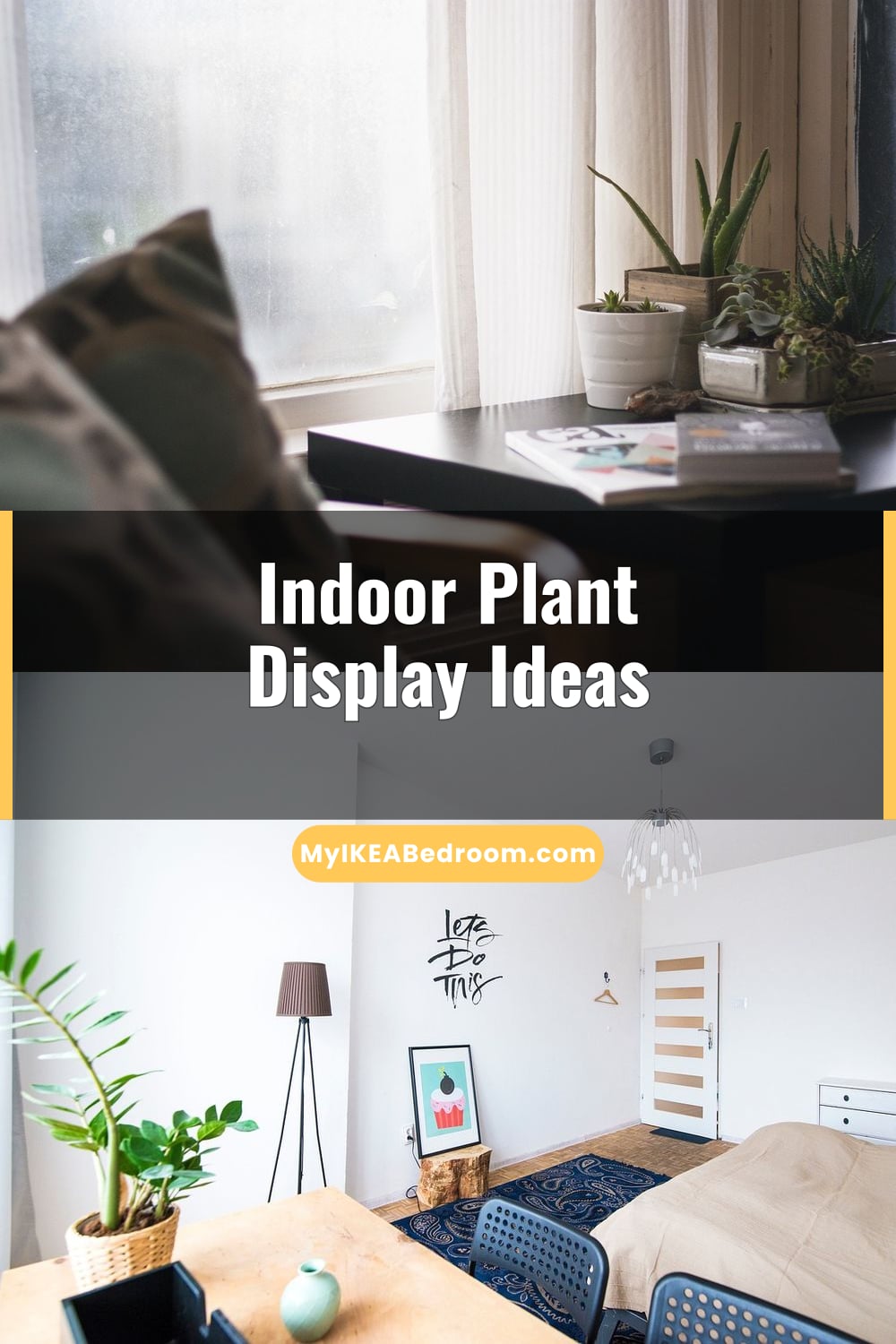 Indoor Plant Display Ideas